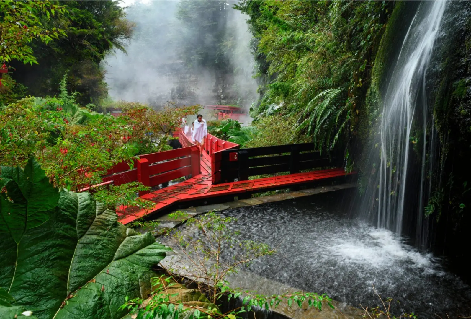Ruta de la Hidroterapia : 10 Termas para Sanar el Cuerpo y el Alma